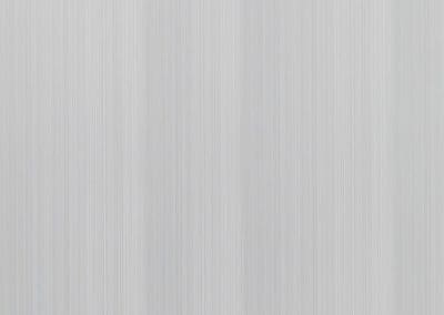 Silver Vision Matt 10mm